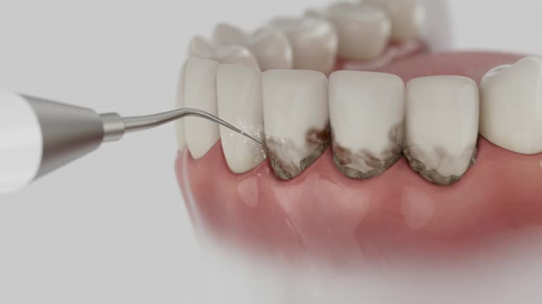 Reliable Dental contractor in Rockford, MI by Dentist Open Now